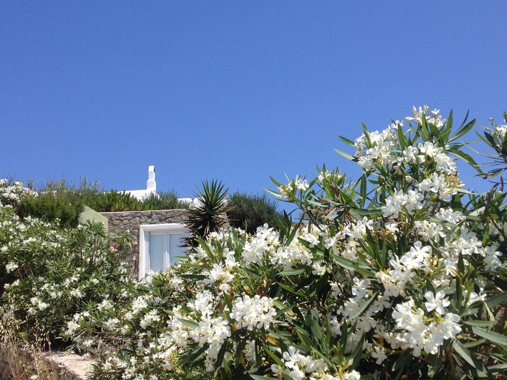 Mykonos Love Nest Áno Merá Quarto foto